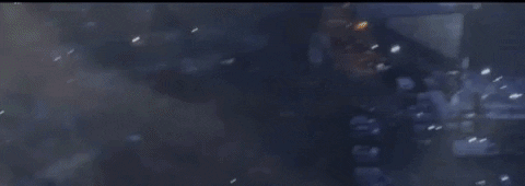 West Brom Football GIF by West Bromwich Albion - Find ...
