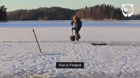 Fun In Finland in funny gifs