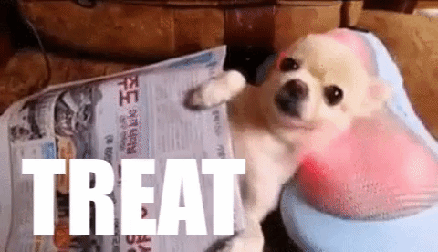 animated gif with text saying treat yo self