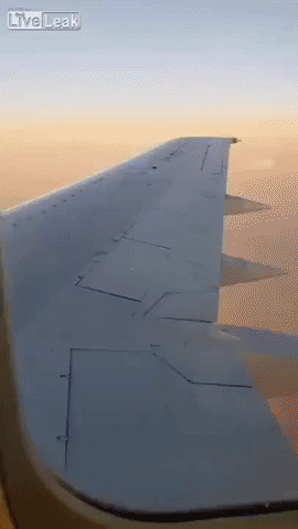 What Could Go Wrong In Plane in funny gifs