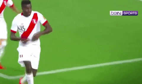 Christian Ramos Peru GIF by beIN SPORTS - Find & Share on GIPHY