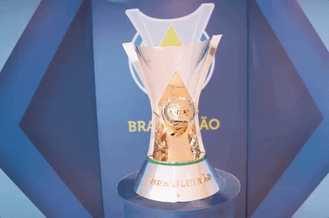 Campeonato Brasileiro Brasileirao