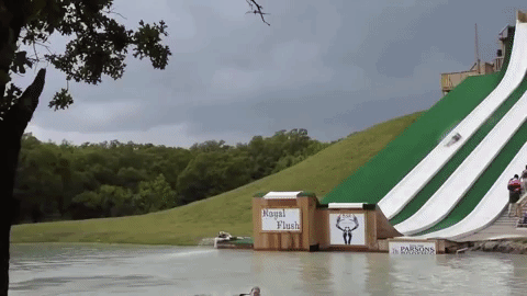 giphy.gif