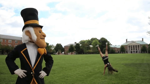 wake forest mascot
