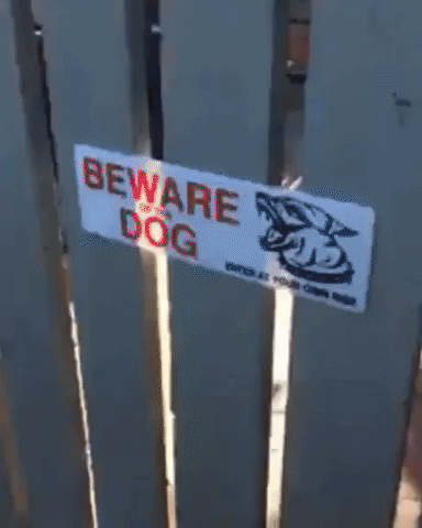 Beware Of Dog in animals gifs