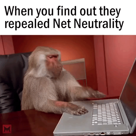After They Repealed Net Neutrality in funny gifs