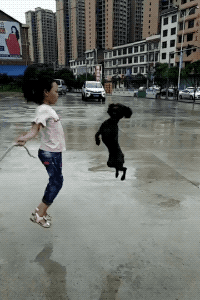 Girl And Her Pupper in funny gifs