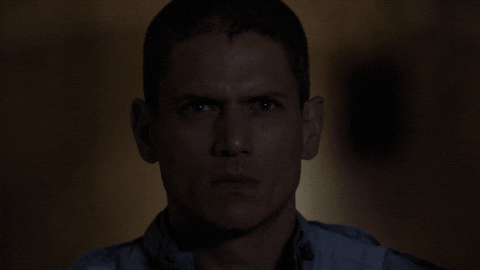 Michael Scofield Fox GIF by Prison Break - Find & Share on GIPHY