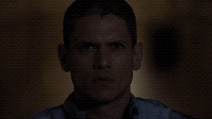 michael scofield fox gif by prison break find amp share on michael scofield fox gif by prison break find amp share on