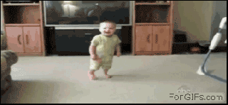 18 уморительных гифок, доказывающих, что животные ненавидят детей животные ненавидят детей, смешные гифки, гифки животные дети