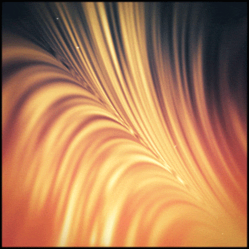 Orange Gif Artist GIF by Erica Anderson Find & Share on GIPHY