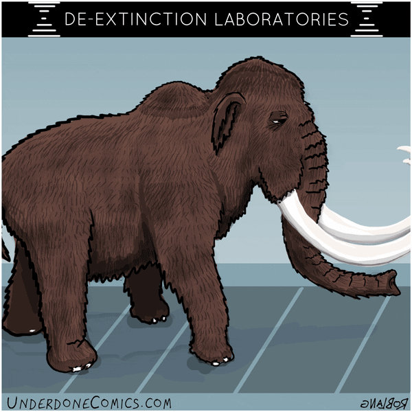 Wooly Mammoth GIFs Get The Best GIF On GIPHY Wooly Mammoth GIFs Get The Best GIF On GIPHY