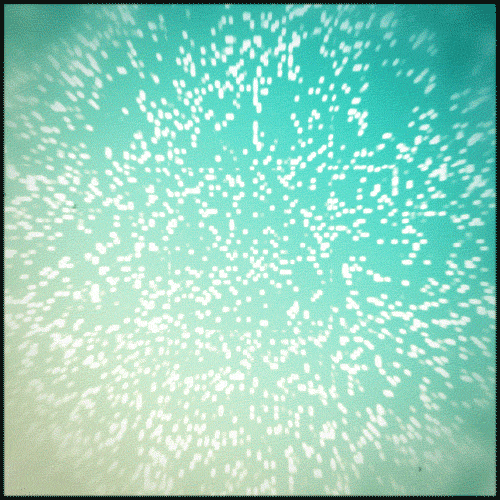 Glitter Gif Artist GIF by Erica Anderson Find & Share on GIPHY