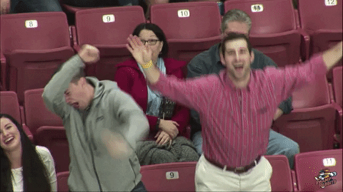 Hockey Bird GIF by Greenville Swamp Rabbits