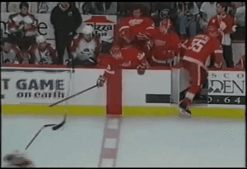 2016/2017 Red Wings Season thread - Page 8 Giphy