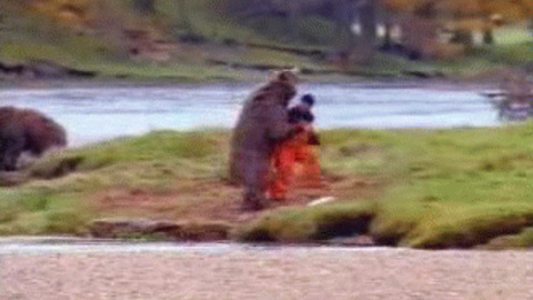 Fight best Gif