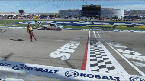 Martin Truex Jr GIF by NASCAR