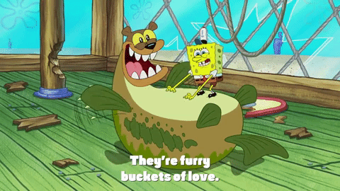 Season 9 The Fish Bowl GIF by SpongeBob SquarePants - Find & Share on GIPHY