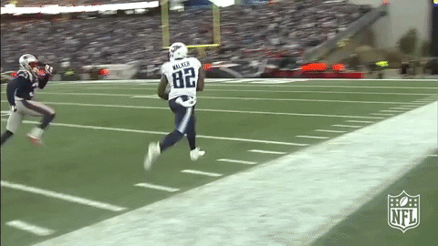 Tennessee Titans GIF by NFL - Find &amp; Share on GIPHY