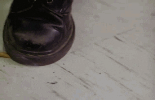 gif cigarette Share GIPHY Find Rose GIF Cigarette on Mcgowan & gif cigarette Share GIPHY Find Rose GIF Cigarette on Mcgowan &