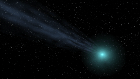 A Bright Comet is Falling Toward the Sun, and it could Become a Naked-Eye Object Giphy