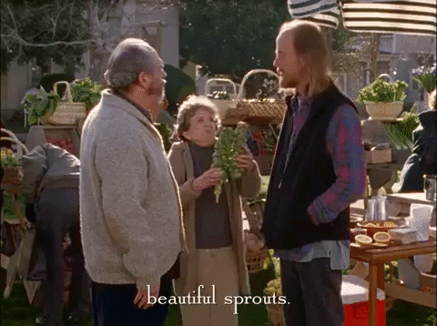 Season 2 Netflix GIF by Gilmore Girls