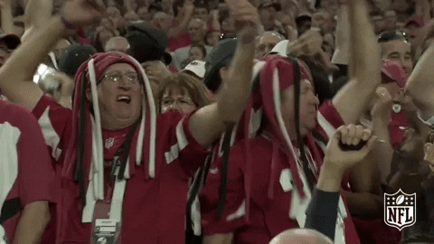 Arizona Cardinals Football GIF by NFL - Find & Share on GIPHY