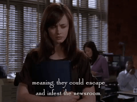 Season 6 Netflix GIF by Gilmore Girls