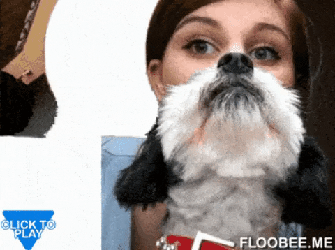 Dogface in gifgame gifs