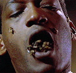 Candyman Tony Todd abeilles 