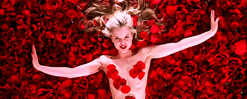 Image result for american beauty gif