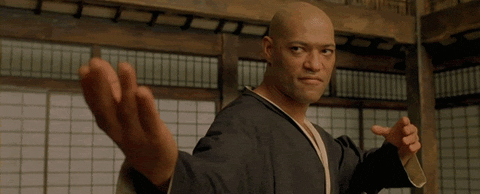 Martial Arts Matrix GIF - Find & Share on GIPHY