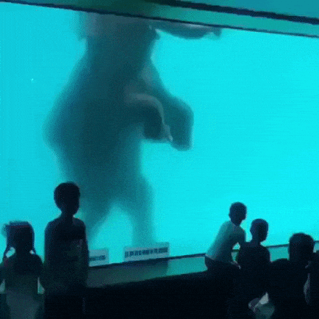 Elephant under water in wow gifs