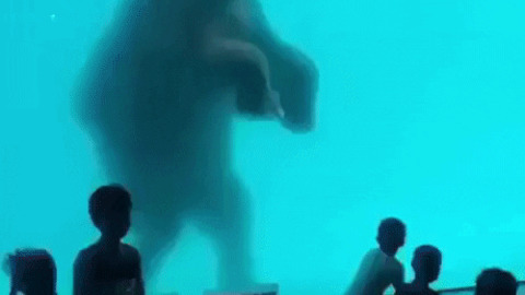 Elephant under water