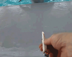 Stoned 4:20 GIF - Find & Share on GIPHY