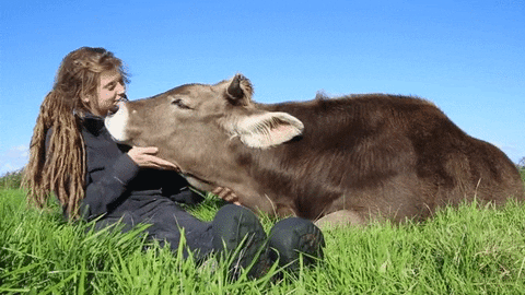 animals return treat kindness