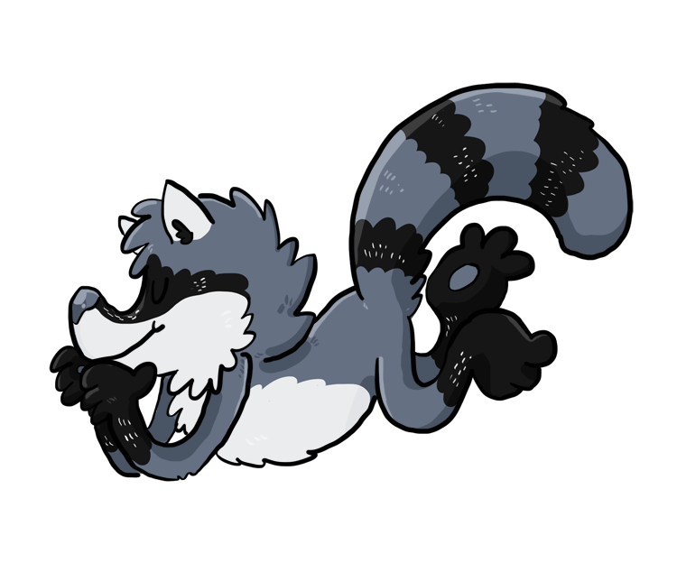 Image result for raccoon gif transparent