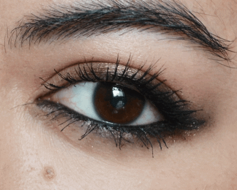 Mac GIF - Find & Share on GIPHY