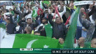 Pakistan cricket craze