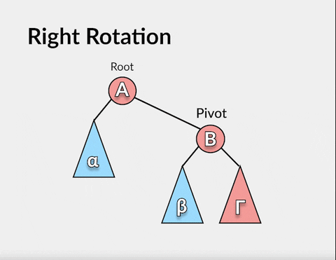 Red-Black Trees Rotation Gif