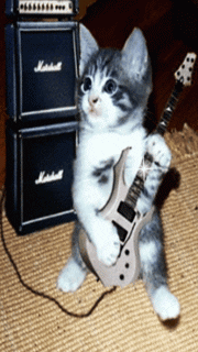 Rock N Roll GIF - Find & Share on GIPHY