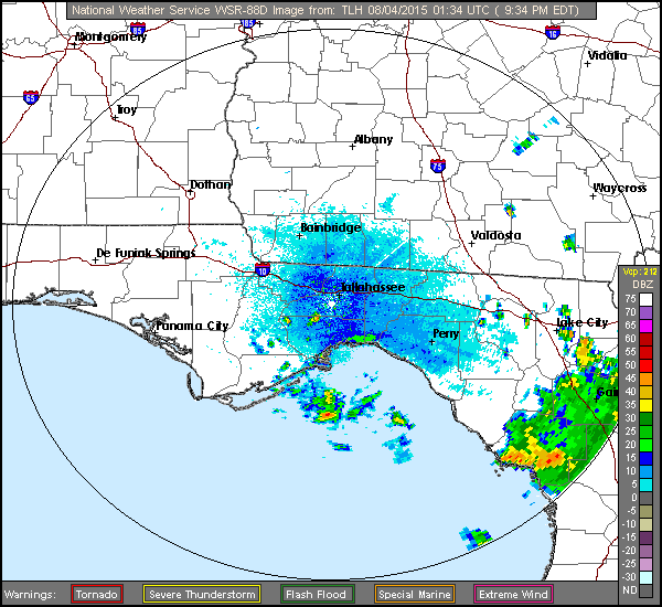 Tampa Flooding Nws GIF - Find & Share on GIPHY