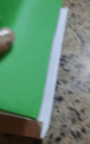 giphy.gif