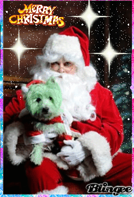 Grinch GIF - Find &amp; Share on GIPHY