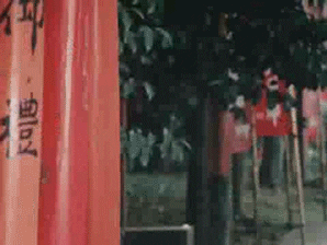 giphy.gif