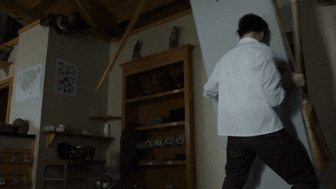 giphy.gif