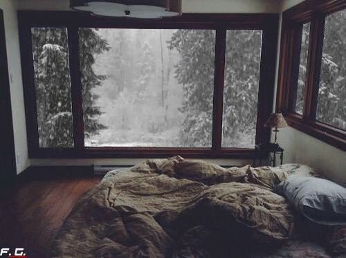 tree window snowing bedroom snowfall