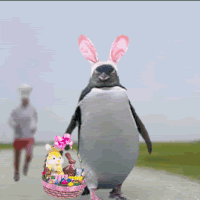 Easter Rabbit Ears GIF - Find & Share on GIPHY