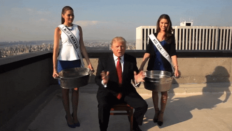 [Image: giphy.gif]