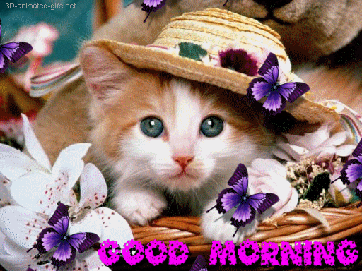 Images Animations GIF Find Share On GIPHY